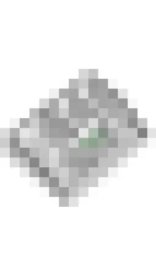 Ringmuur 10 Buren thumbnail 83
