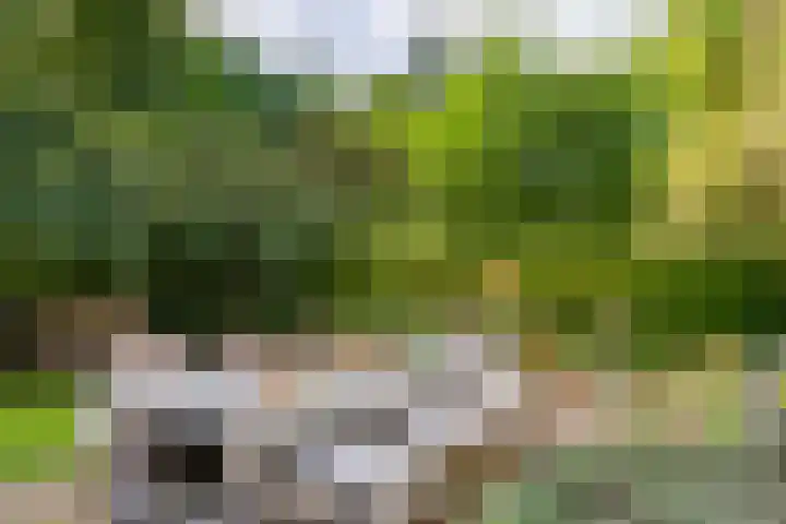 Ringmuur 10 Buren thumbnail 9