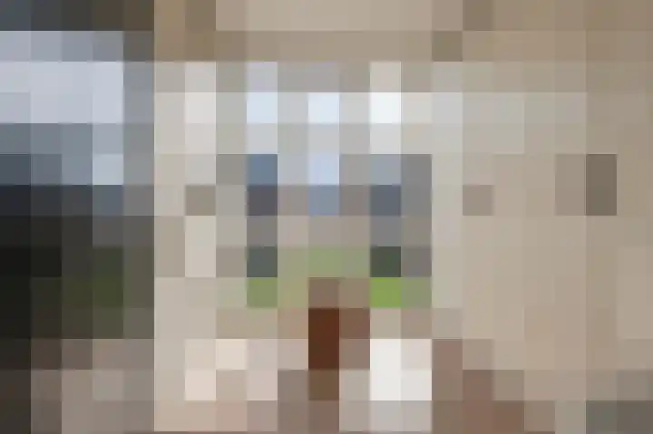 Ringmuur 3 Meteren thumbnail 19