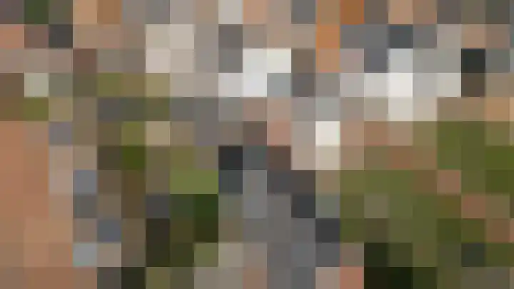 Ringmuur 3 Meteren thumbnail 38