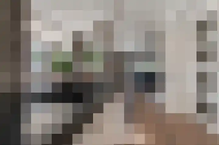 Ringmuur 3 Meteren thumbnail 6