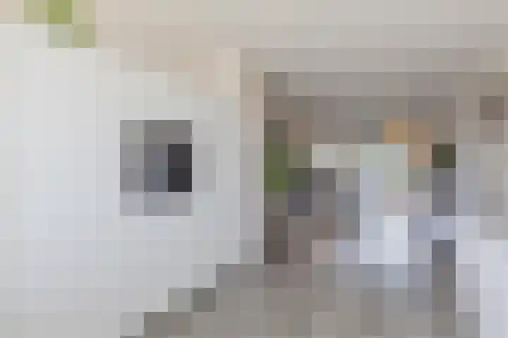 Ringoever 25 Hillegom thumbnail 10