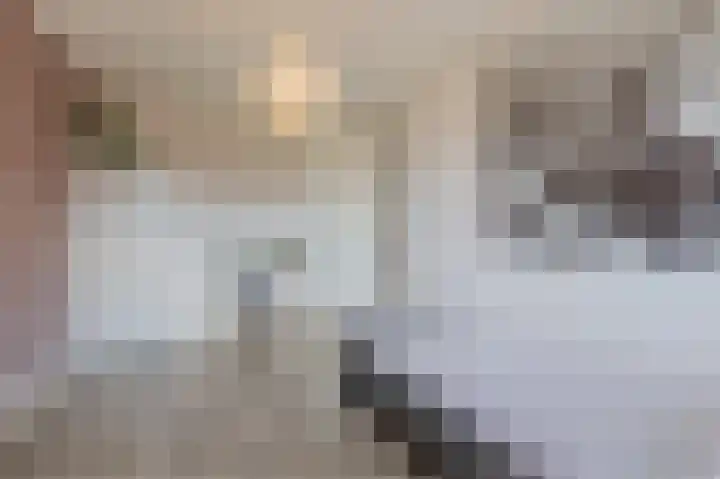 Ringoever 25 Hillegom thumbnail 18