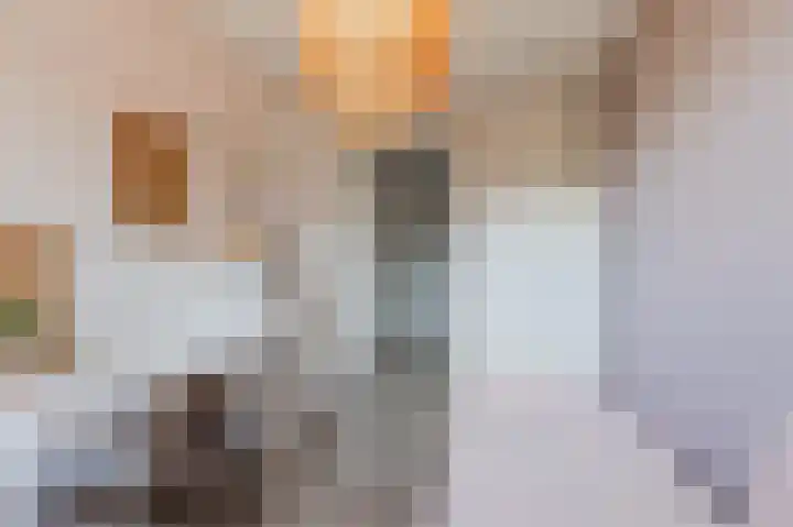 Ringoever 25 Hillegom thumbnail 20