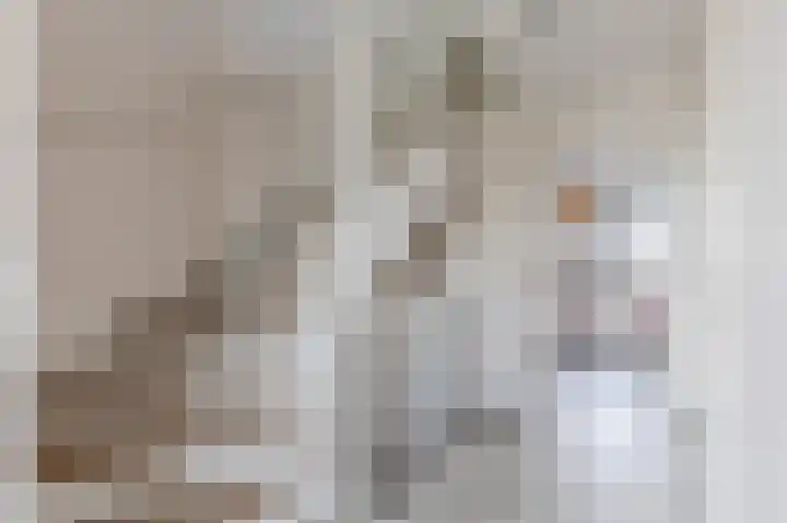 Ringoever 25 Hillegom thumbnail 21