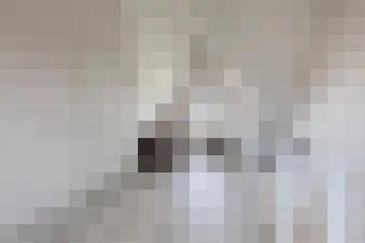 Ringoever 25 Hillegom thumbnail 22