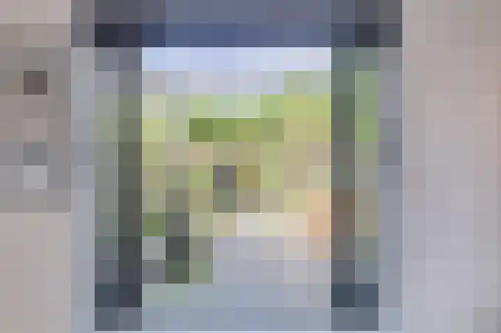 Ringoever 25 Hillegom thumbnail 25