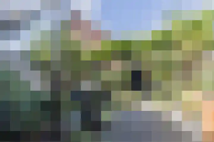Ringoever 25 Hillegom thumbnail 26
