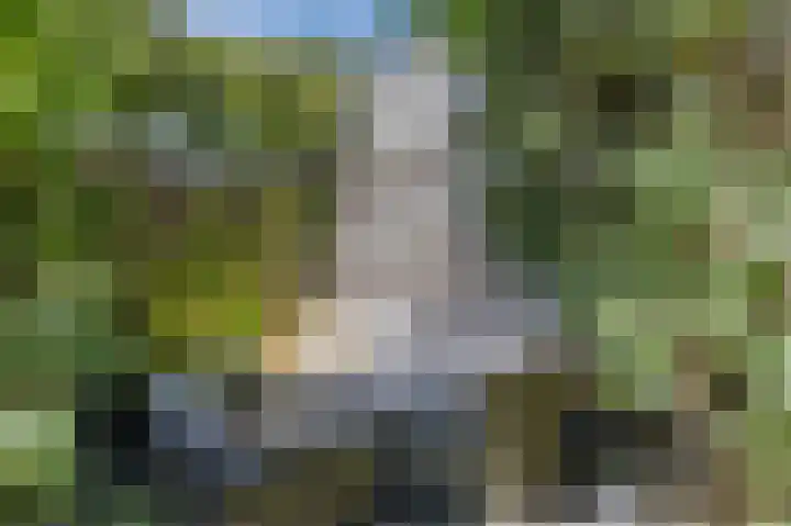 Ringoever 25 Hillegom thumbnail 27