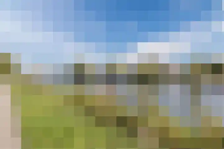 Ringoever 25 Hillegom thumbnail 29