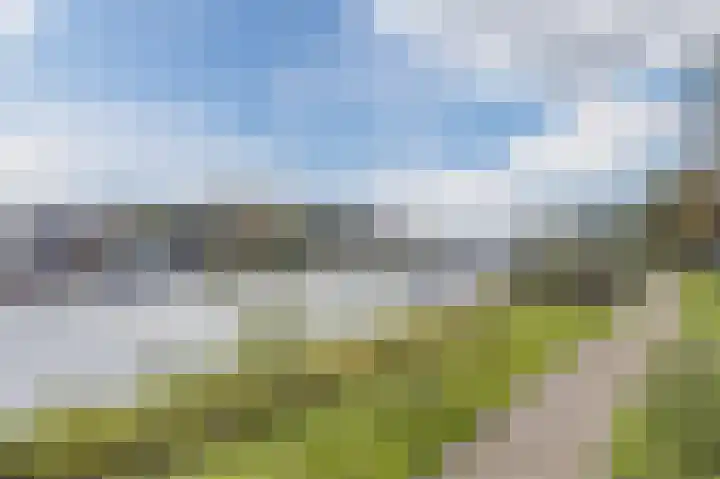 Ringoever 25 Hillegom thumbnail 30