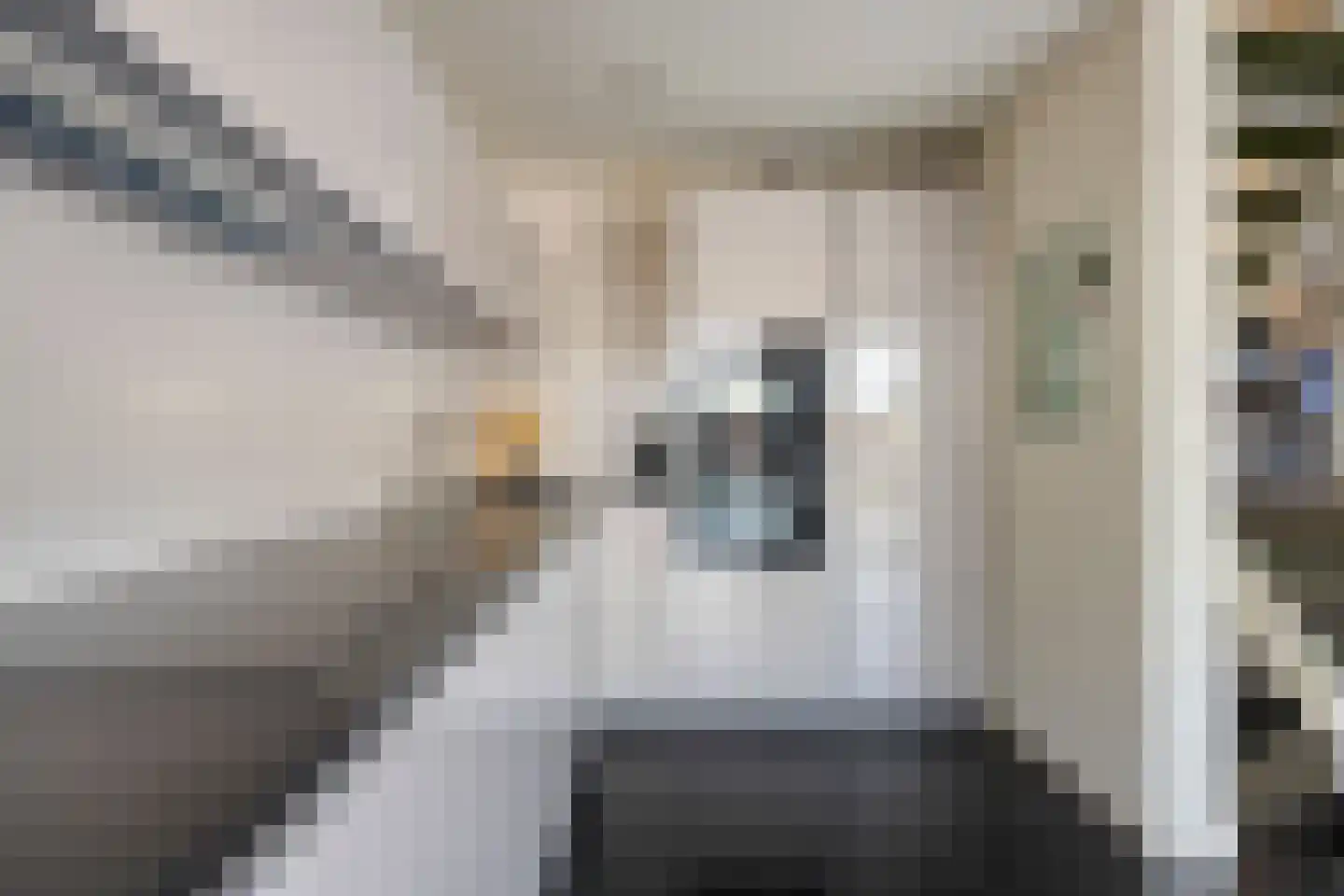 Ringoven 1 Roermond thumbnail 17
