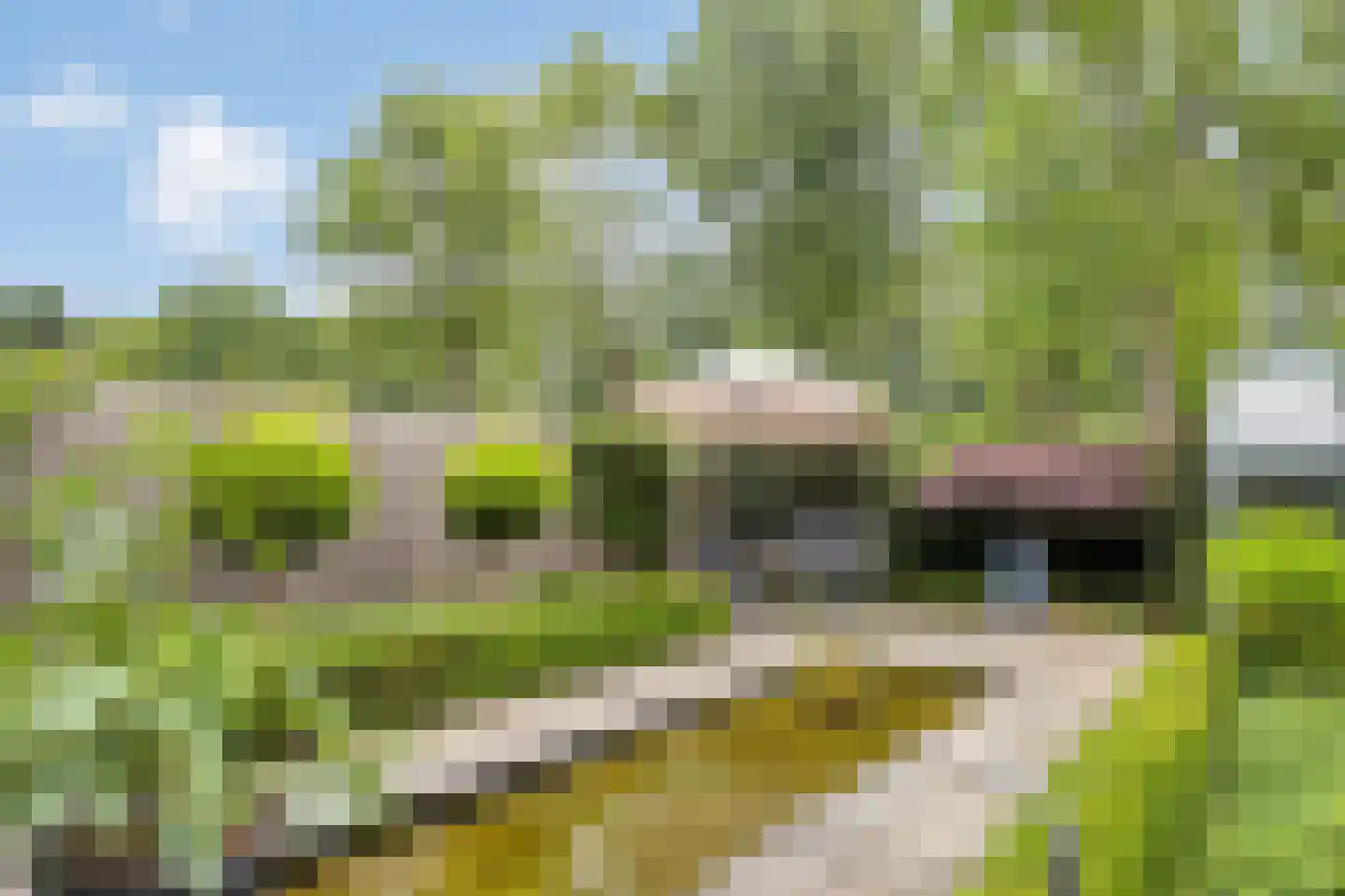 Ringoven 1 Roermond thumbnail 46