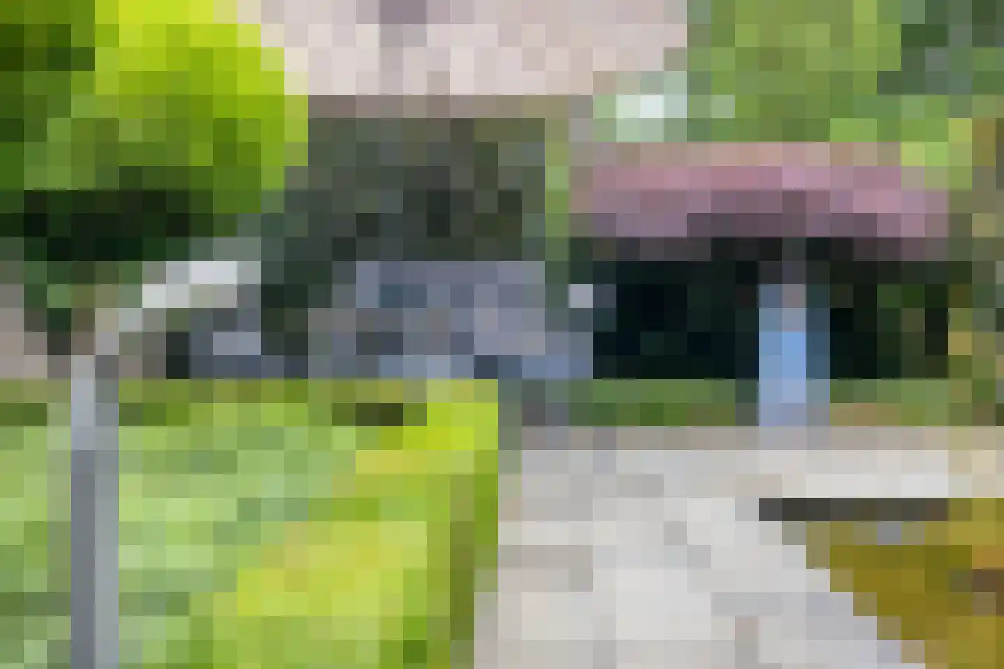Ringoven 1 Roermond thumbnail 50