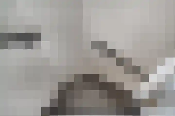 Ringoven 1 Tolkamer thumbnail 26