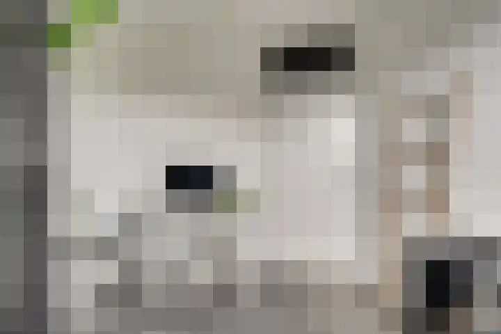 Ringoven 1 Tolkamer thumbnail 31