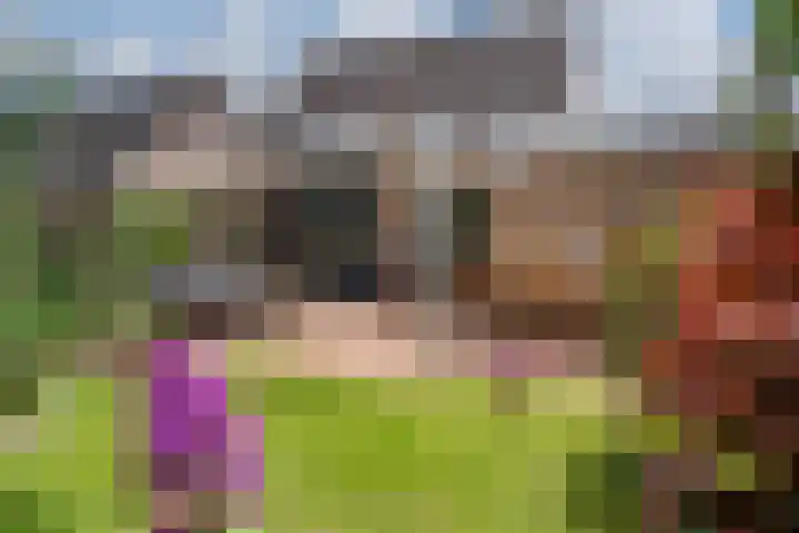 Ringoven 1 Tolkamer thumbnail 4