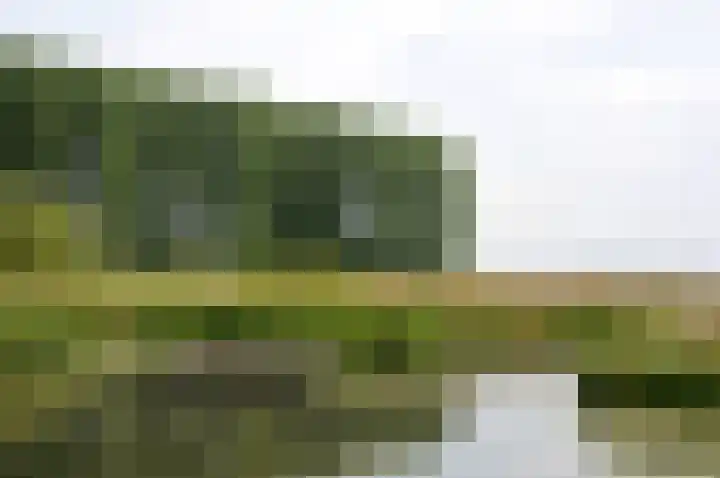 Ringoven 1 Tolkamer thumbnail 53