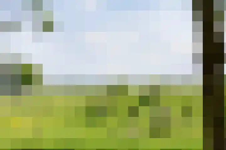 Ringoven 1 Tolkamer thumbnail 54