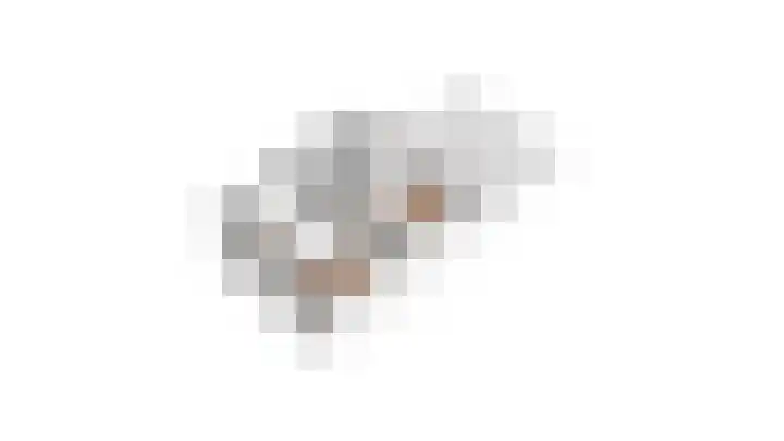 Ringoven 1 Tolkamer thumbnail 61