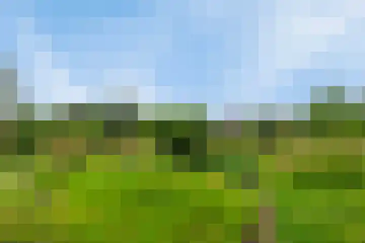 Ringoven 10 Veghel thumbnail 36