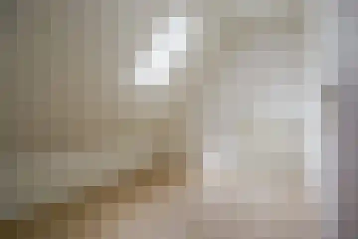 Ringoven 11 Borne thumbnail 20