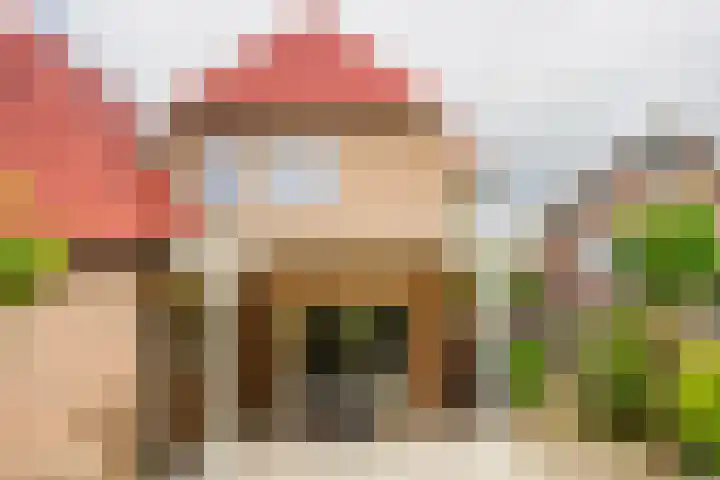 Ringoven 11 Borne thumbnail 30