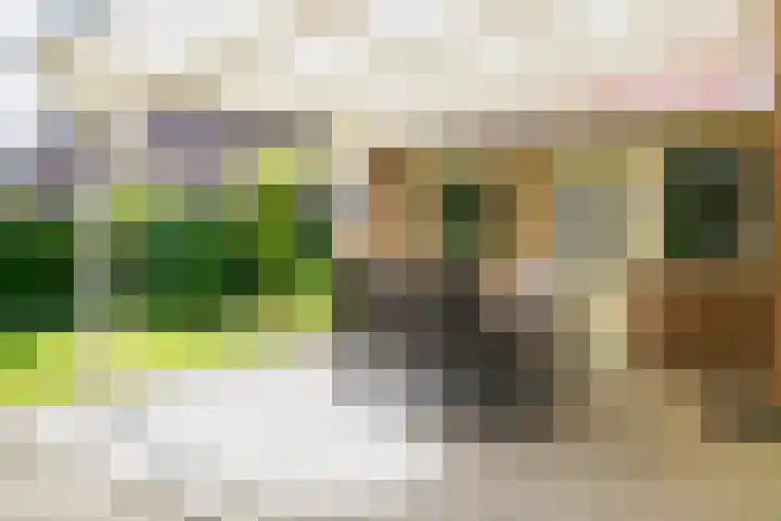 Ringoven 11 Borne thumbnail 35