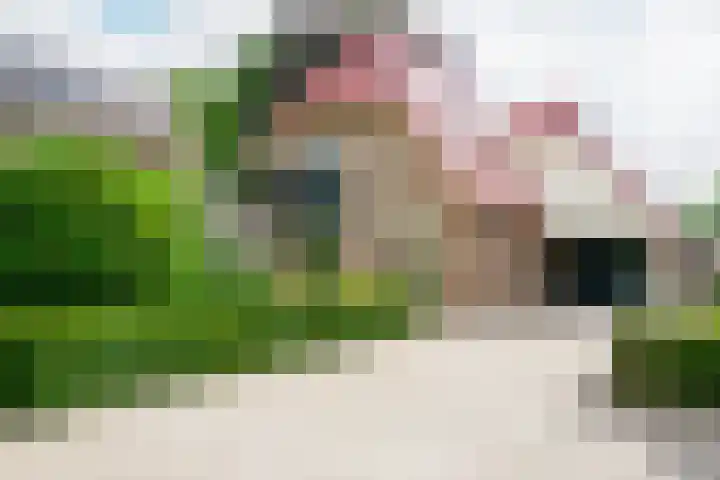 Ringoven 11 Borne thumbnail 36