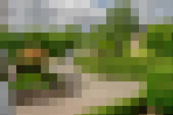 Ringoven 11 Borne thumbnail 37