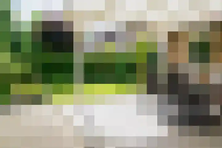 Ringoven 11 Borne thumbnail 4
