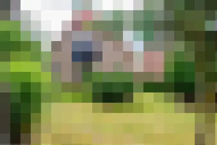 Ringoven 11 Borne thumbnail 6