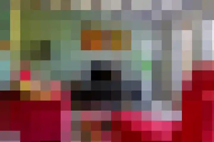 Ringoven 11 Borne thumbnail 9