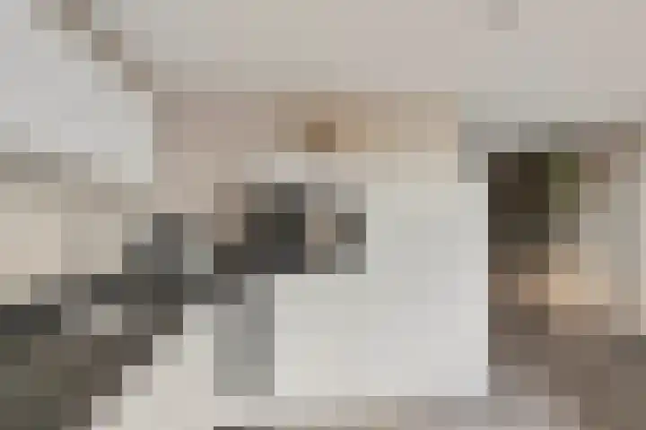 Ringoven 11 Tolkamer thumbnail 12
