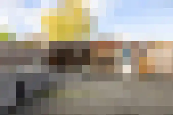Ringoven 11 Tolkamer thumbnail 15