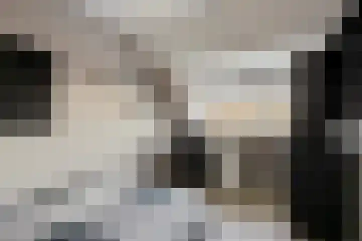 Ringoven 11 Tolkamer thumbnail 22
