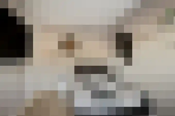Ringoven 11 Tolkamer thumbnail 23