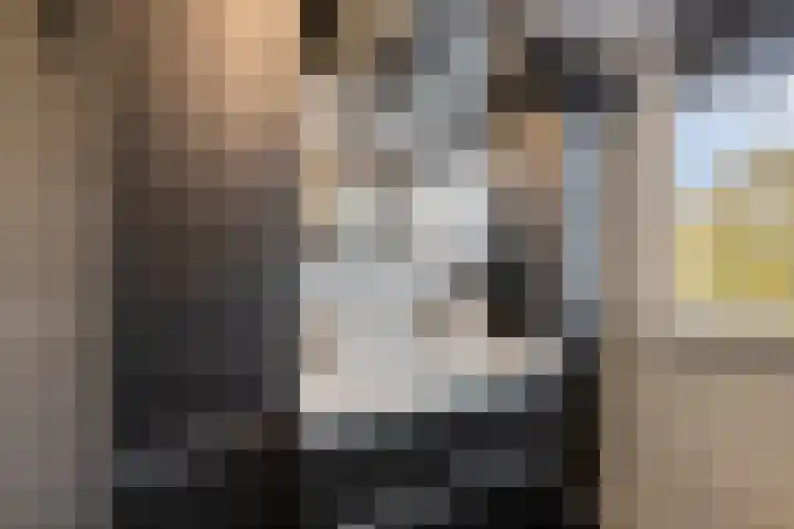 Ringoven 11 Tolkamer thumbnail 25