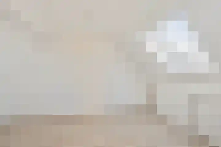 Ringoven 11 Tolkamer thumbnail 27