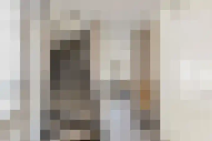 Ringoven 11 Tolkamer thumbnail 5