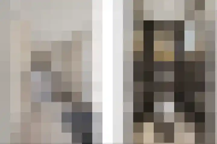 Ringoven 11 Tolkamer thumbnail 6