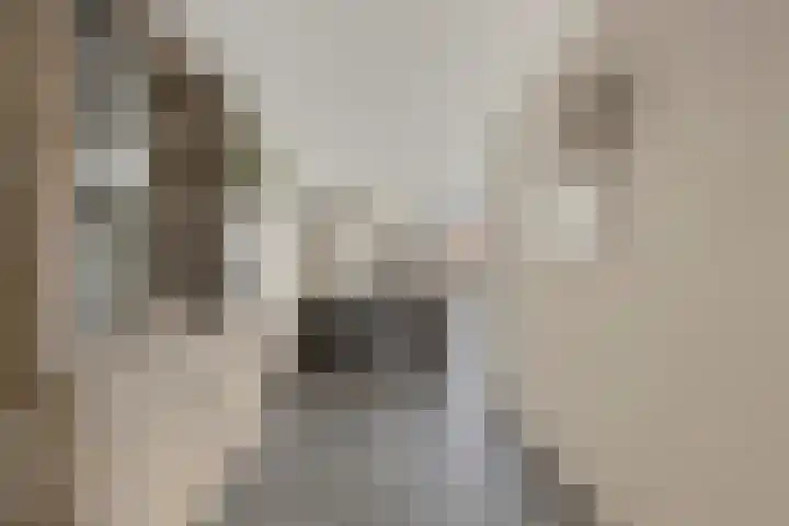 Ringoven 11 Tolkamer thumbnail 9