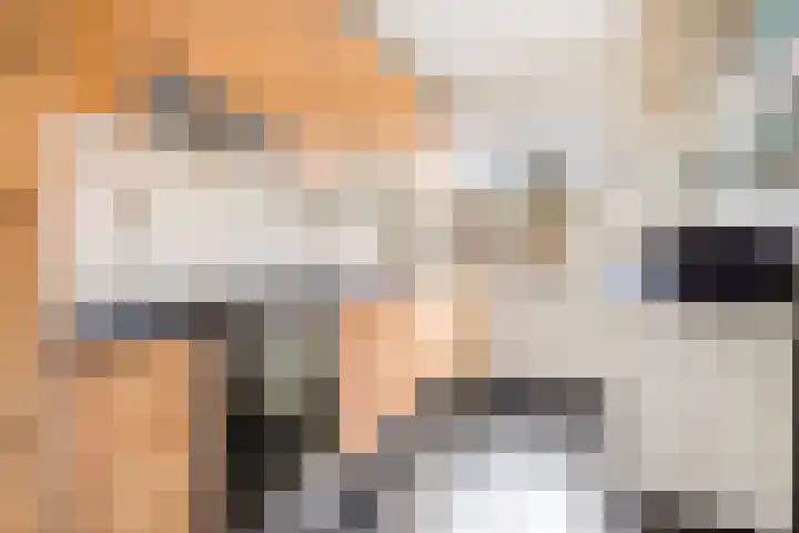 Ringoven 114 Wijk bij Duurstede thumbnail 13