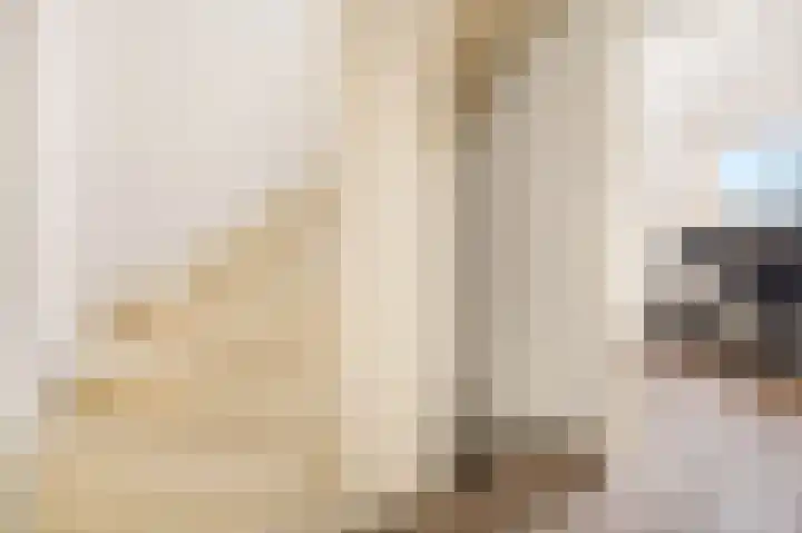 Ringoven 114 Wijk bij Duurstede thumbnail 15