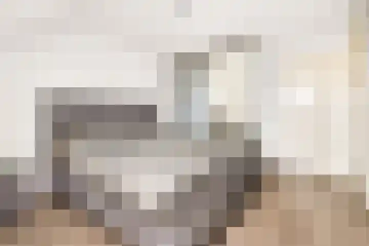 Ringoven 114 Wijk bij Duurstede thumbnail 17