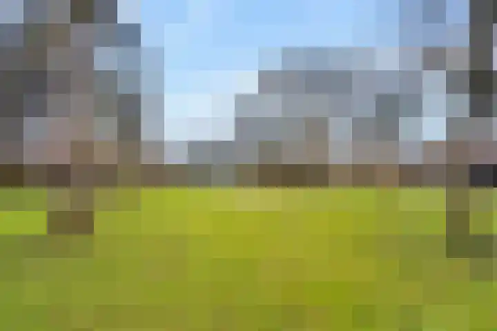 Ringoven 114 Wijk bij Duurstede thumbnail 33