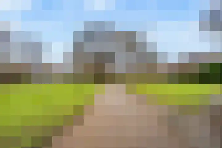 Ringoven 114 Wijk bij Duurstede thumbnail 34