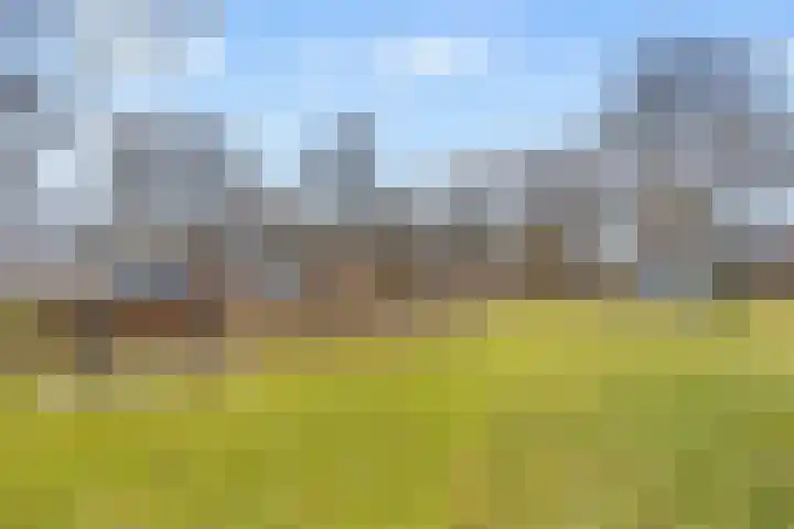 Ringoven 114 Wijk bij Duurstede thumbnail 35
