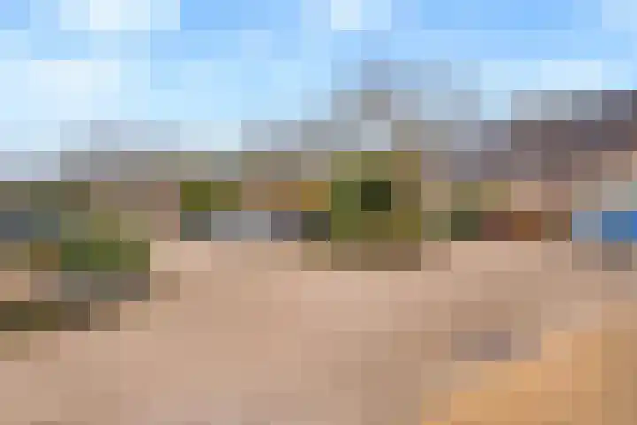 Ringoven 114 Wijk bij Duurstede thumbnail 36
