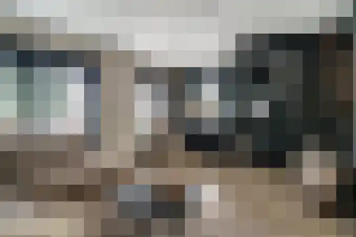 Ringoven 12 Tolkamer thumbnail 15